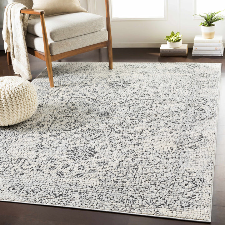 Bosphorus Ivory And Black Traditional Style Area Rug