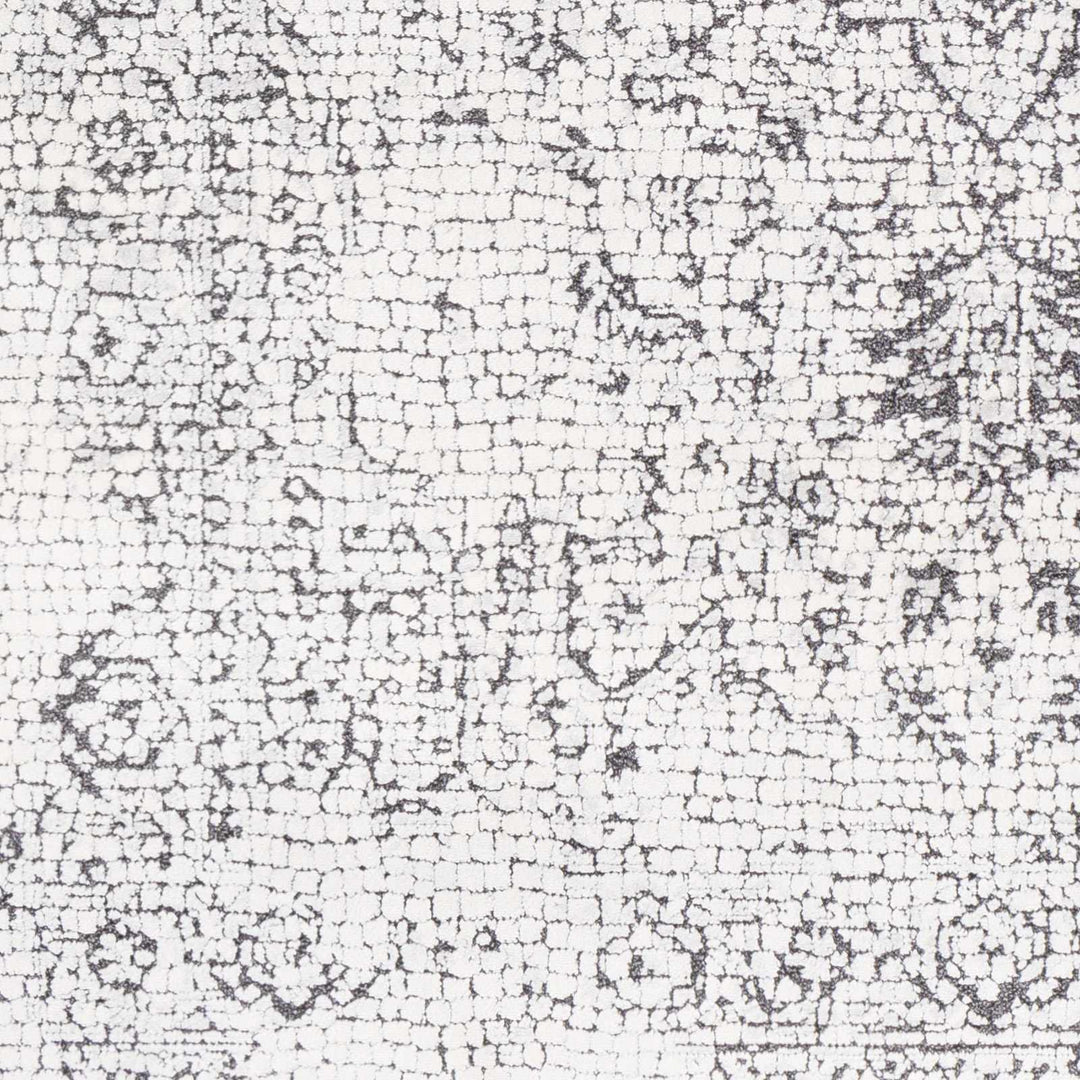 Bosphorus Ivory And Black Traditional Style Area Rug
