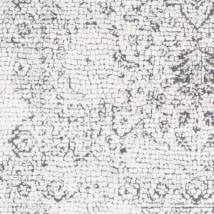 Bosphorus Ivory And Black Traditional Style Area Rug