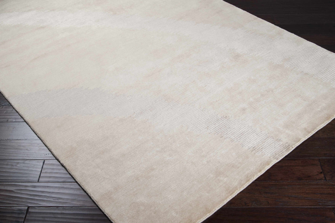Bosworth Beige Contemporary Style Hand Knotted Area Carpet