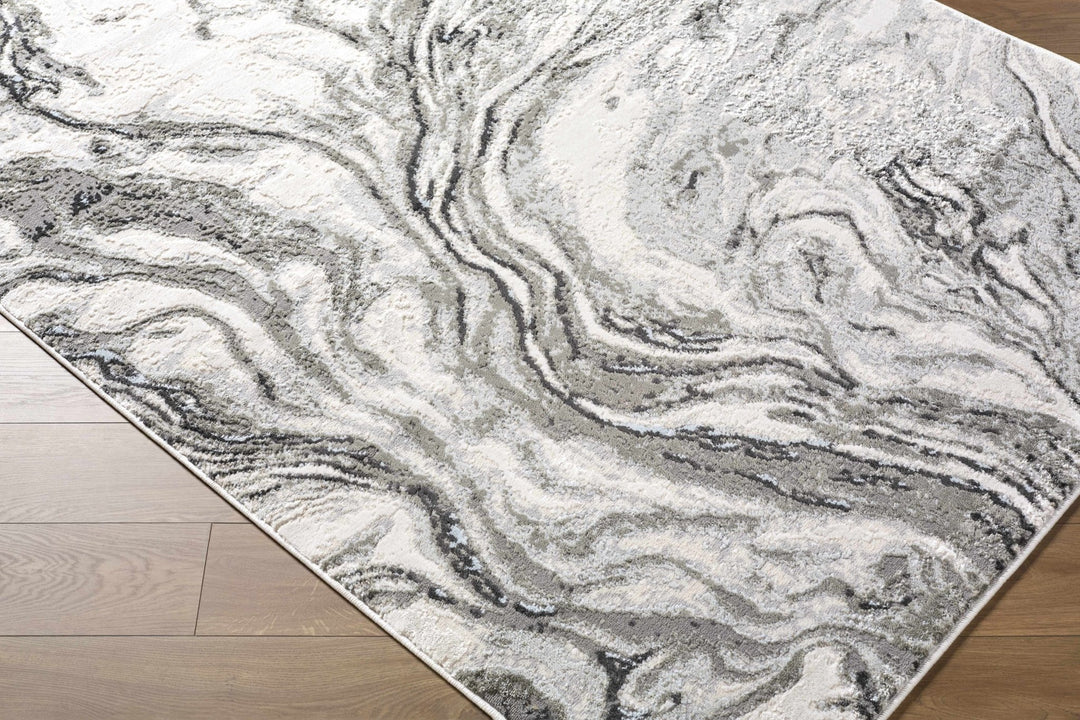 Brandi Modern Abstract Design Gray Area Rug - The Rug Decor