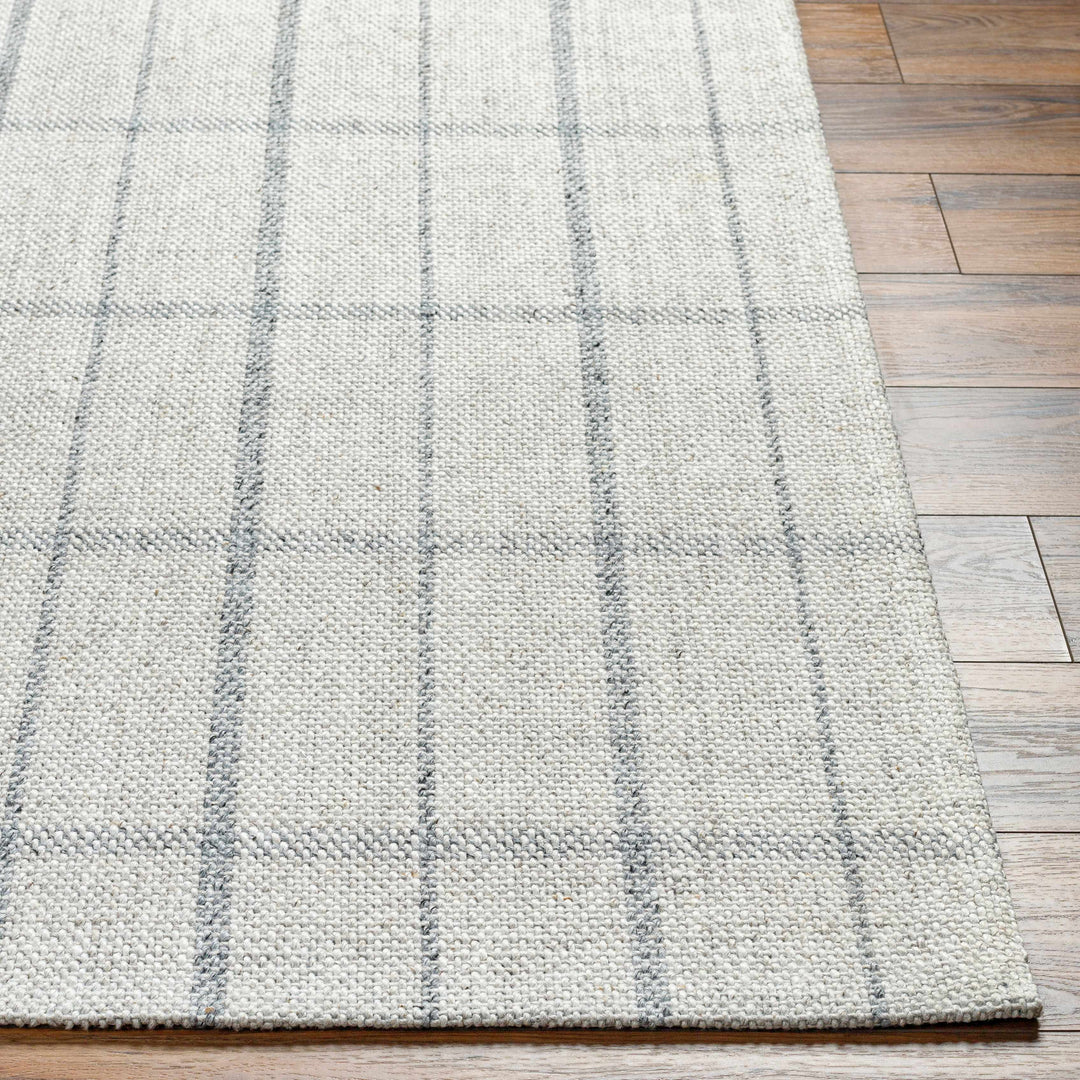 Brava Gray Modern Style Hand Woven Wool Area Rug