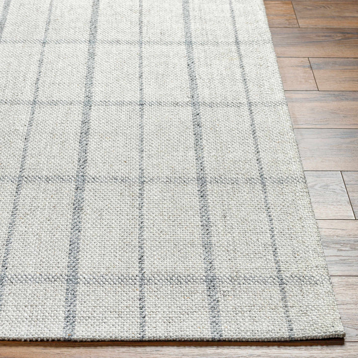 Brava Gray Modern Style Hand Woven Wool Area Rug