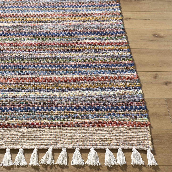 Brenda Bohemian Stripes Multicolor Area Rug - The Rug Decor