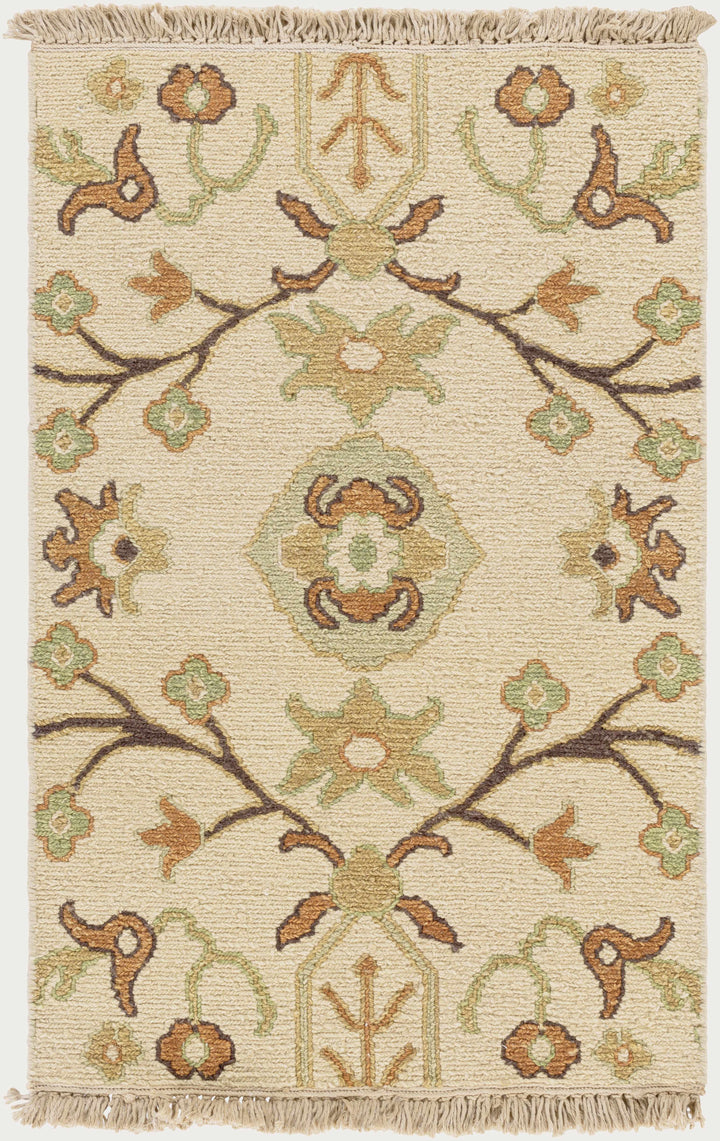 Brentford Traditional Style Beige Hand Knotted Area Rug
