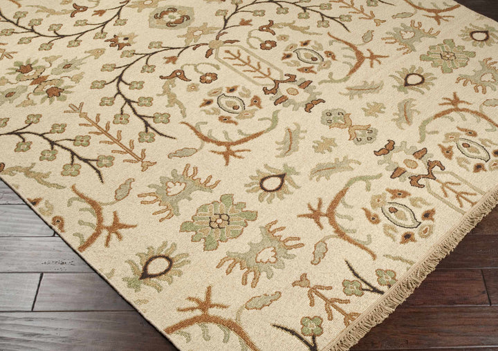 Brentford Traditional Style Beige Hand Knotted Area Rug