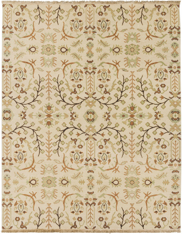 Brentford Traditional Style Beige Hand Knotted Area Rug