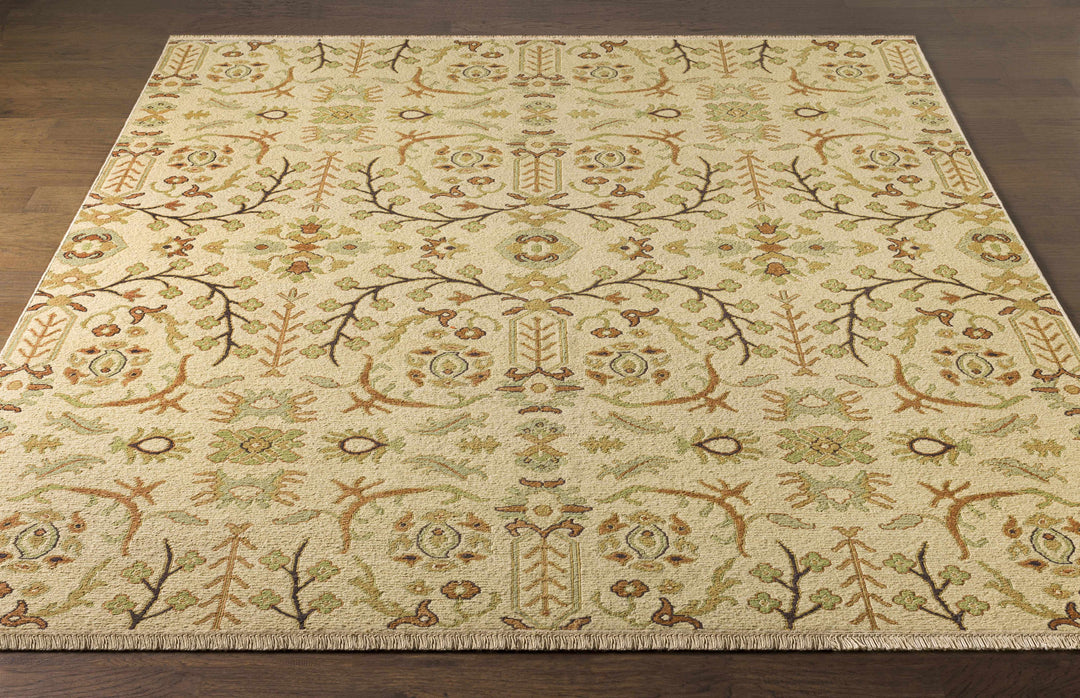 Brentford Traditional Style Beige Hand Knotted Area Rug