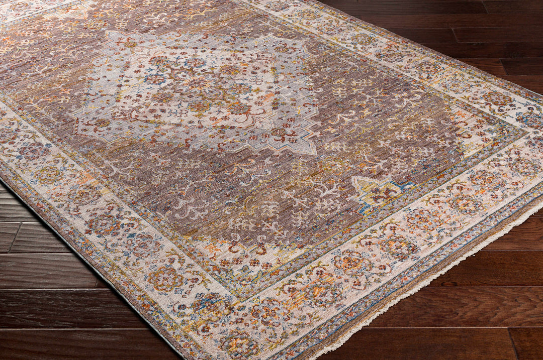Bourget Rust And Ivory Traditional Style Area Rug