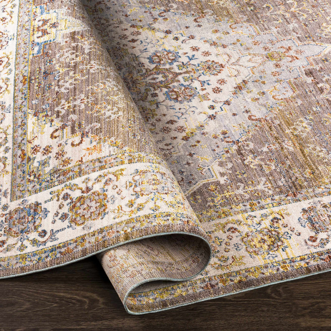 Bourget Rust And Ivory Traditional Style Area Rug