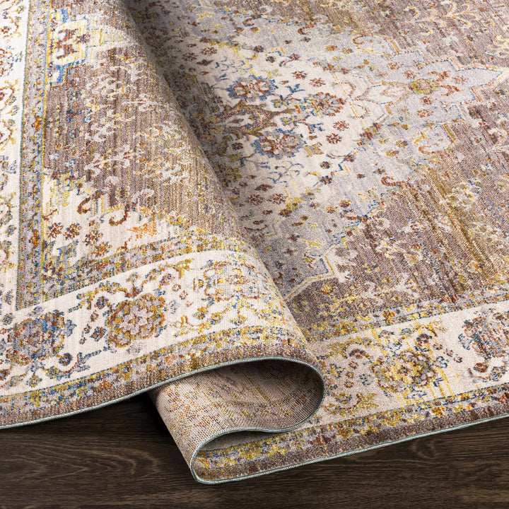Bourget Rust And Ivory Traditional Style Area Rug