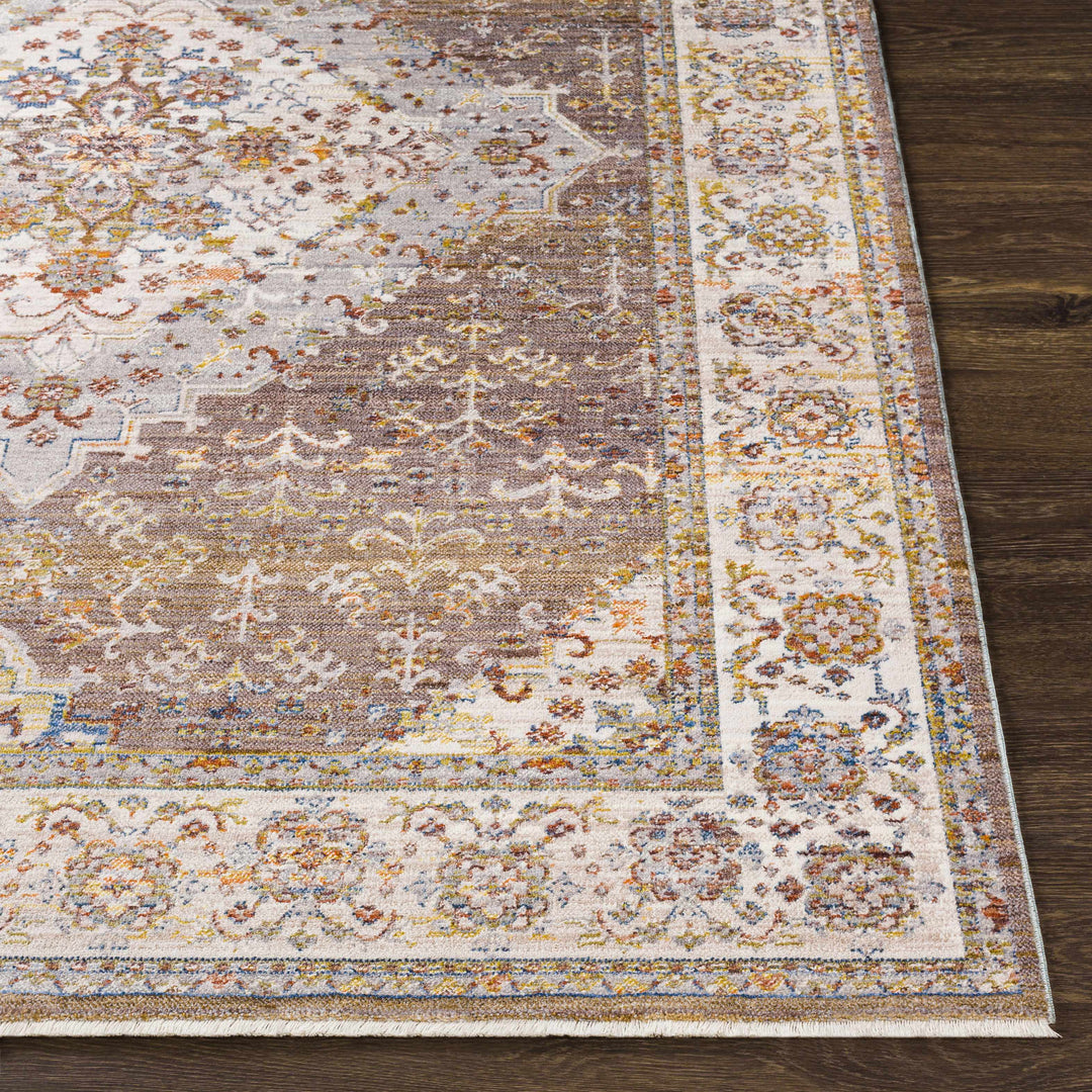 Bourget Rust And Ivory Traditional Style Area Rug