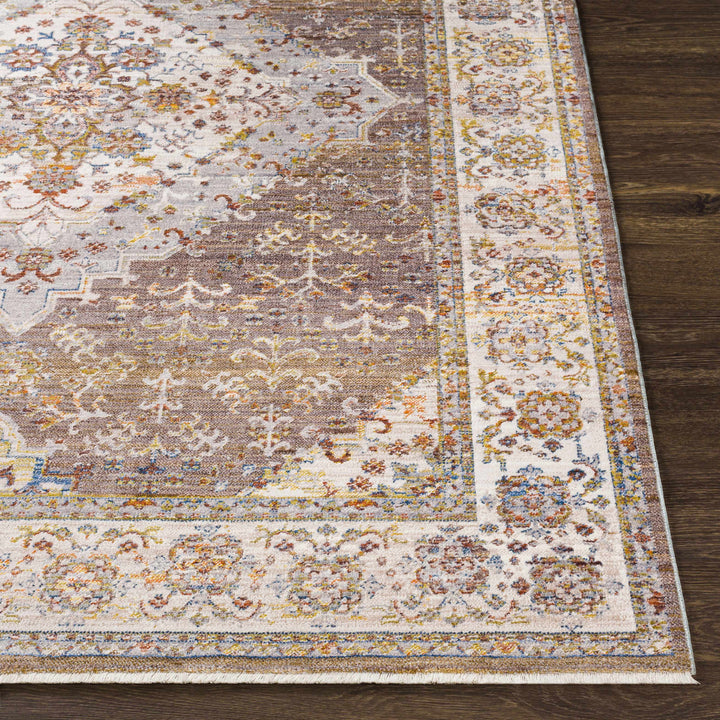 Bourget Rust And Ivory Traditional Style Area Rug