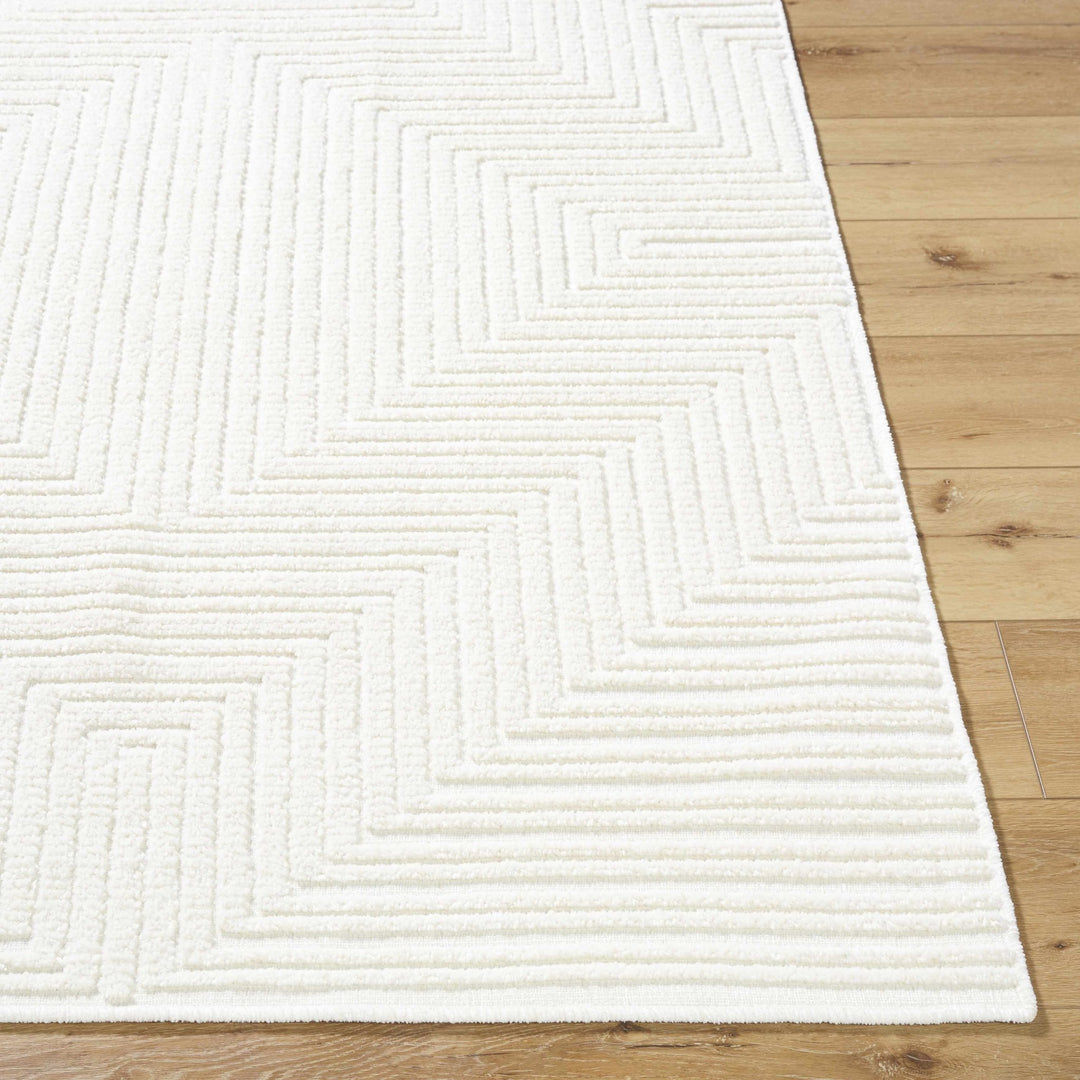 Briana White Contemporary Style Washable Area Rug - The Rug Decor