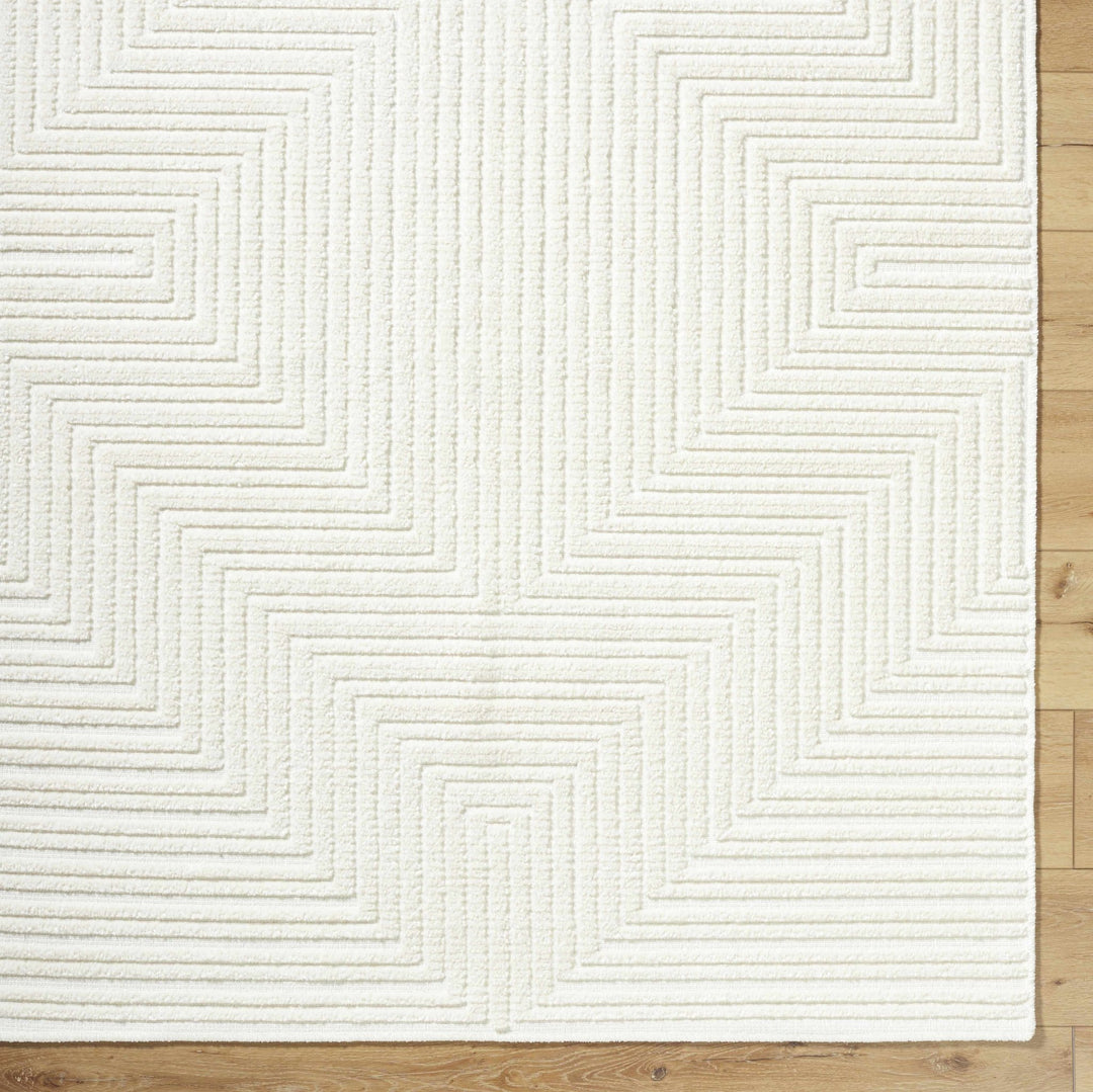 Briana White Contemporary Style Washable Area Rug - The Rug Decor