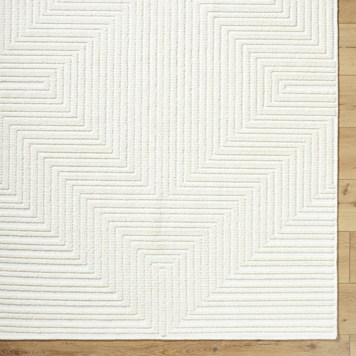 Briana White Contemporary Style Washable Area Rug - The Rug Decor