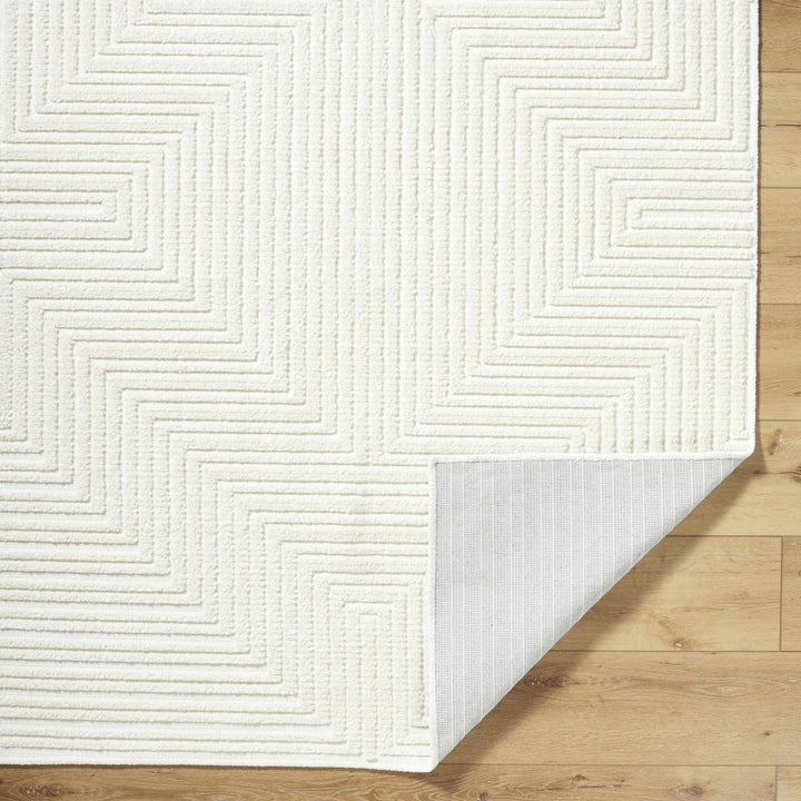 Briana White Contemporary Style Washable Area Rug - The Rug Decor