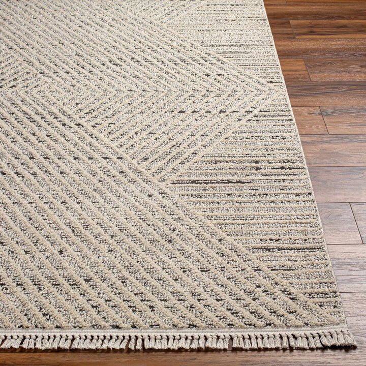 Brita Contemporary Style Beige Area Rug - The Rug Decor