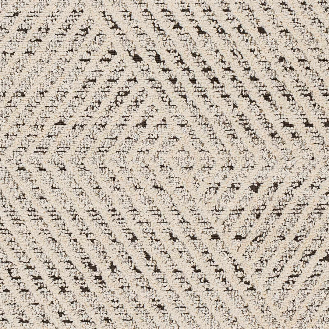 Brita Contemporary Style Beige Area Rug - The Rug Decor
