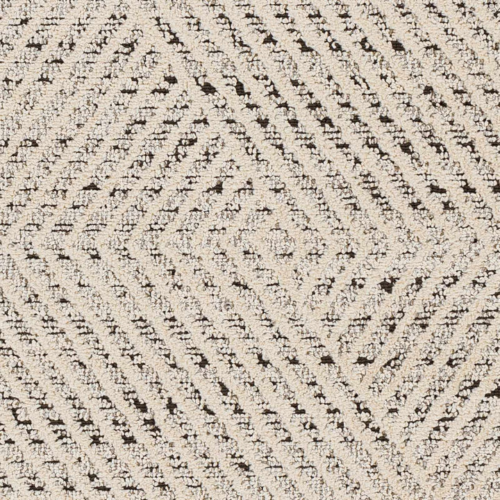 Brita Contemporary Style Beige Area Rug - The Rug Decor