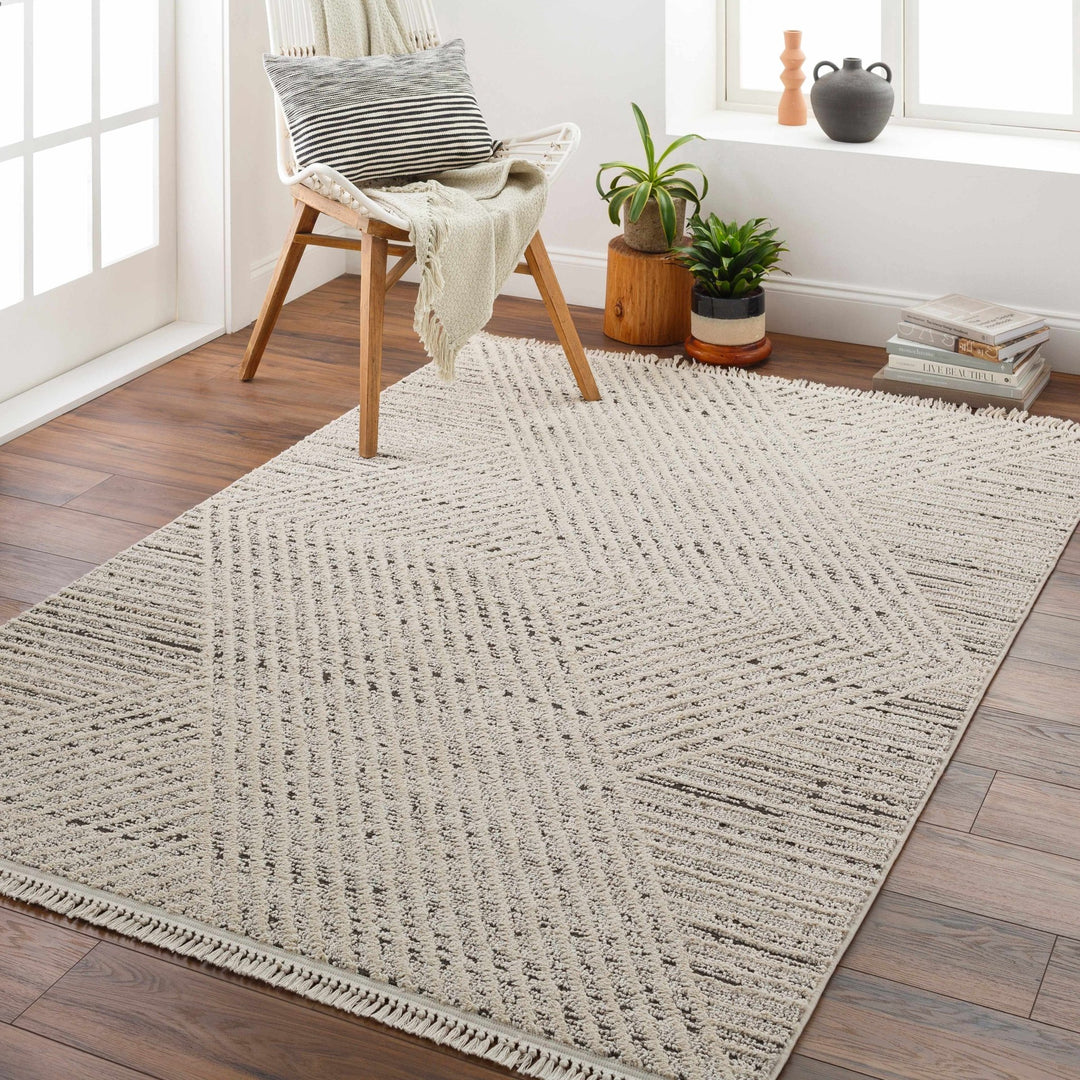 Brita Contemporary Style Beige Area Rug - The Rug Decor