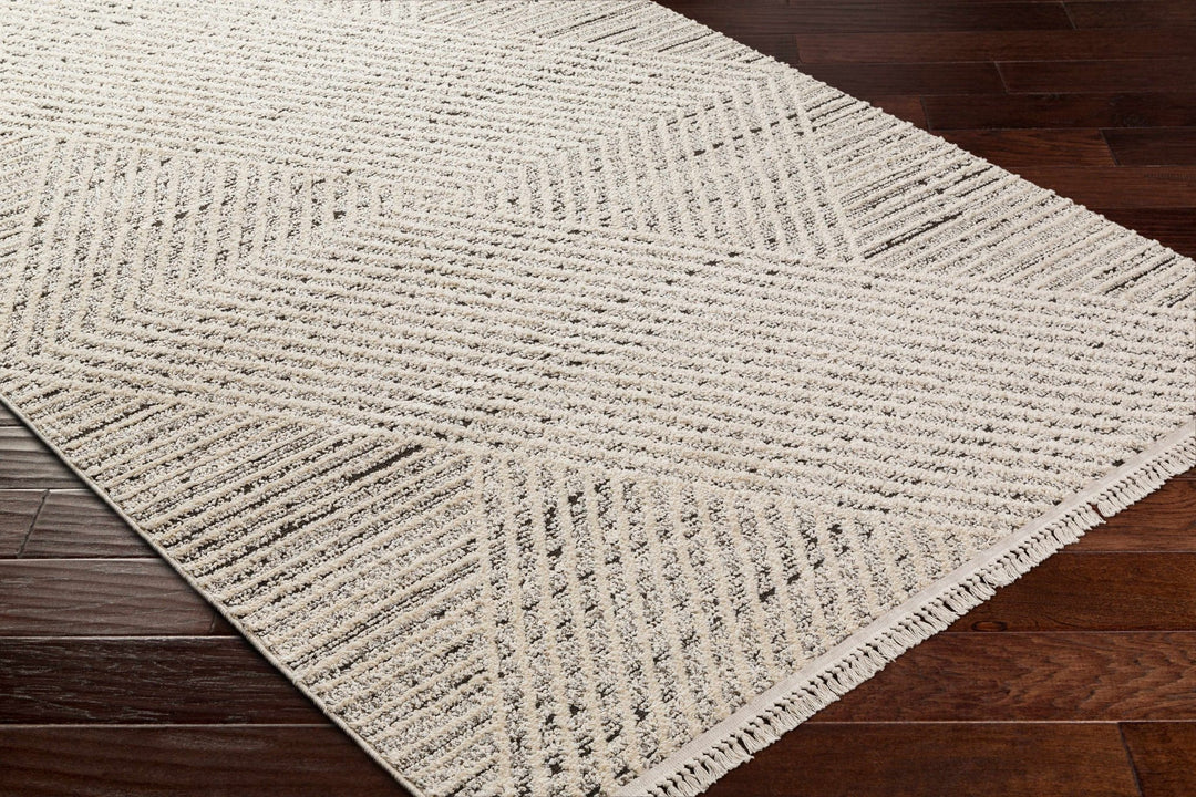 Brita Contemporary Style Beige Area Rug - The Rug Decor