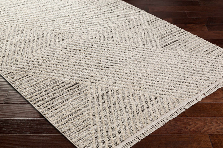 Brita Contemporary Style Beige Area Rug - The Rug Decor