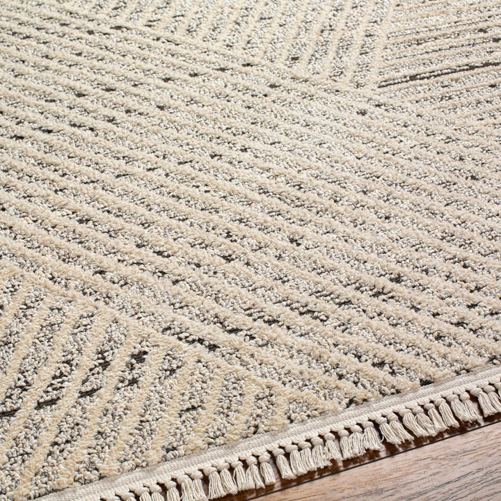 Brita Contemporary Style Beige Area Rug - The Rug Decor