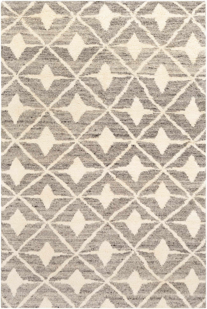 Brooksburg Modern Style Taupe And Beige Hand Knotted Area Rug