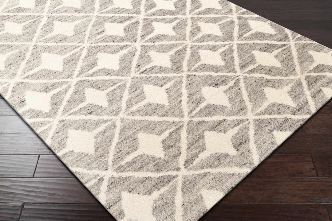 Brooksburg Modern Style Taupe And Beige Hand Knotted Area Rug