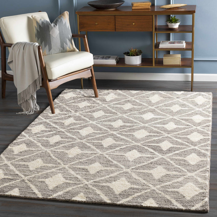 Brooksburg Modern Style Taupe And Beige Hand Knotted Area Rug