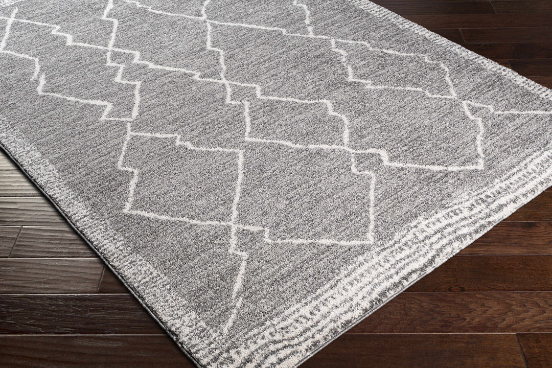 Bramham Modern Geometrical Design Gray Area Rug