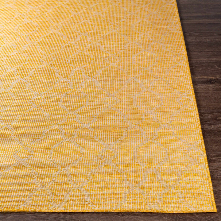 Brocton Mustard Modern Style Outdoor Area Rug - The Rug Decor