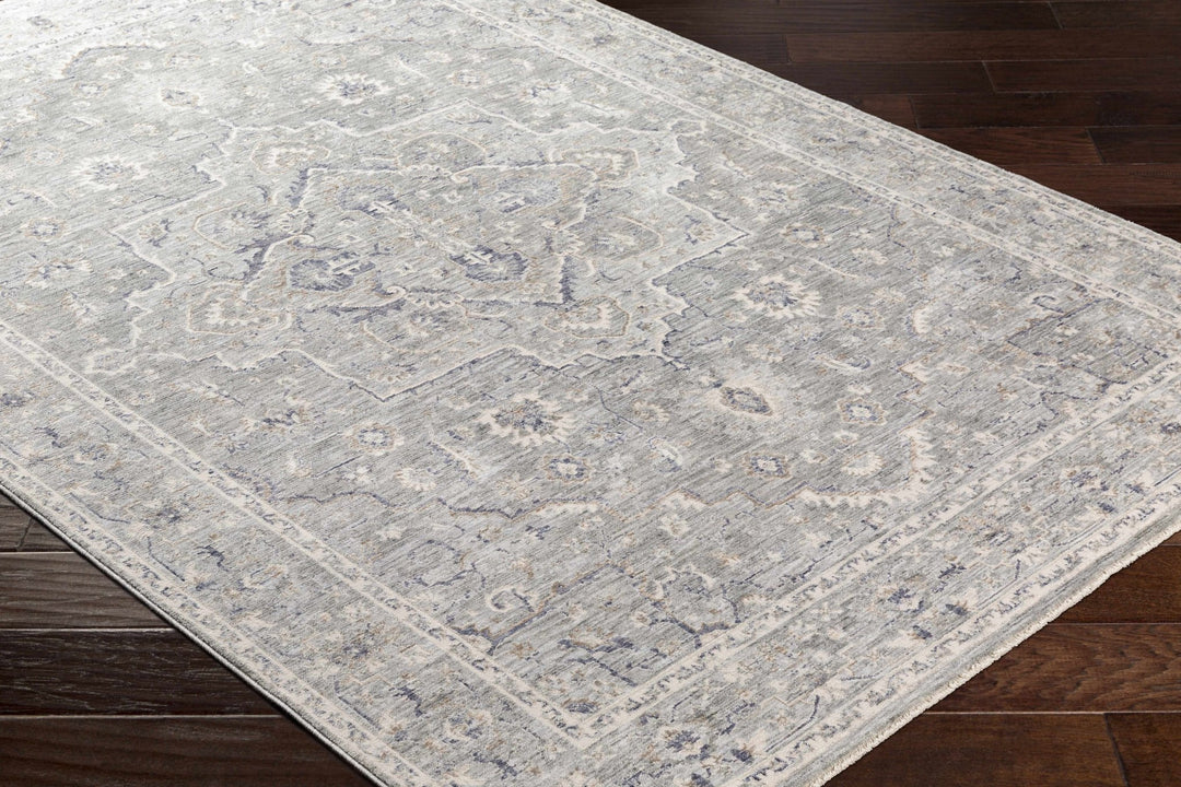 Brodhead Gray Traditional Style Area Rug - The Rug Decor
