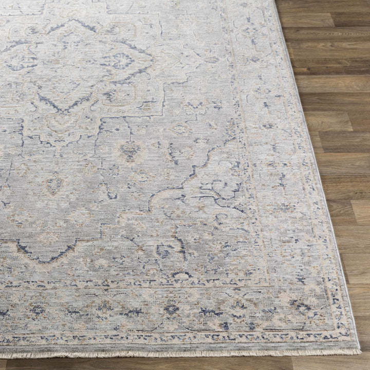 Brodhead Gray Traditional Style Area Rug - The Rug Decor