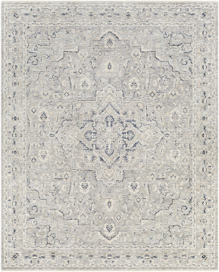 Brodhead Gray Traditional Style Area Rug - The Rug Decor