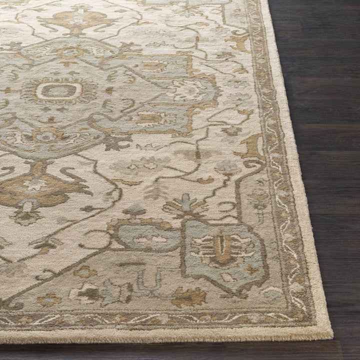Broomfield Medallion Design Tan And Beige Hand Tufted Wool Rug - The Rug Decor