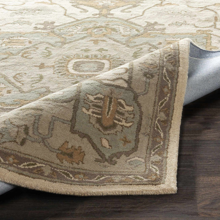 Broomfield Medallion Design Tan And Beige Hand Tufted Wool Rug - The Rug Decor