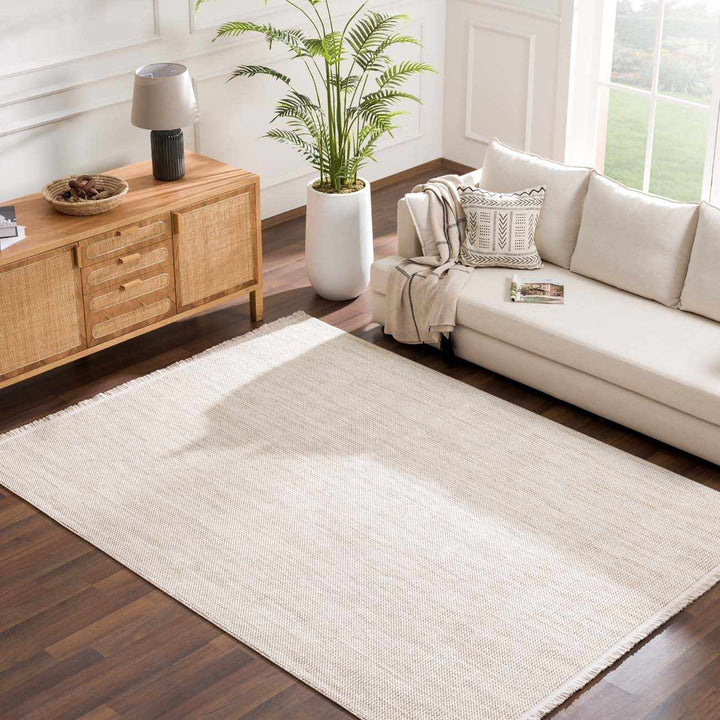 Brown And Beige Modern Style Area Rug - The Rug Decor
