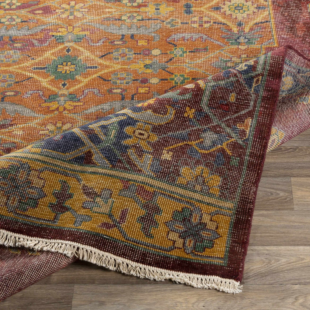 Brush Traditional Style Red And Blue Hand Knotted Area Rug - The Rug Decor