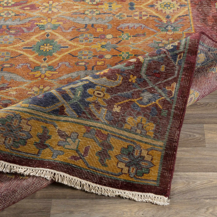 Brush Traditional Style Red And Blue Hand Knotted Area Rug - The Rug Decor