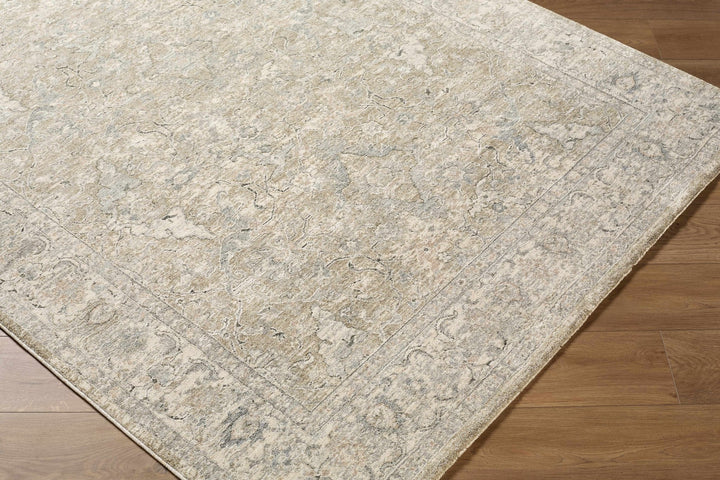 Brynja Traditional Beige And Gray Rug - The Rug Decor