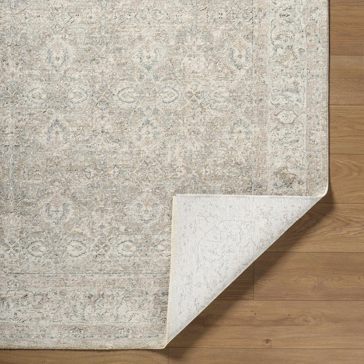 Buddug Traditional Style Tan Area Rug - The Rug Decor