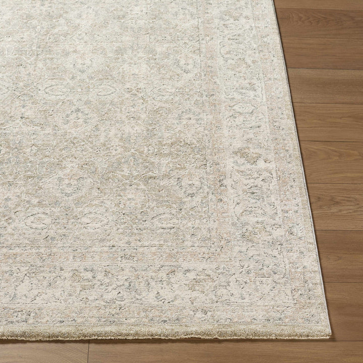 Buddug Traditional Style Tan Area Rug - The Rug Decor