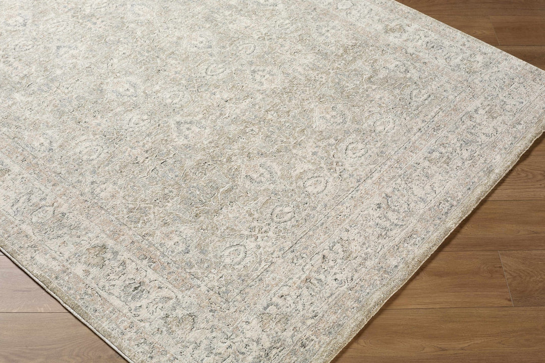 Buddug Traditional Style Tan Area Rug - The Rug Decor