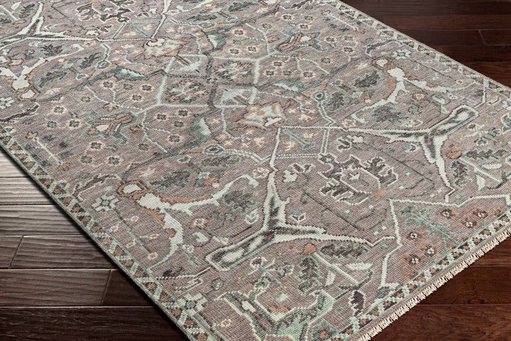 Bugasan Taupe Traditional Style Hand Knotted Wool Area Rug