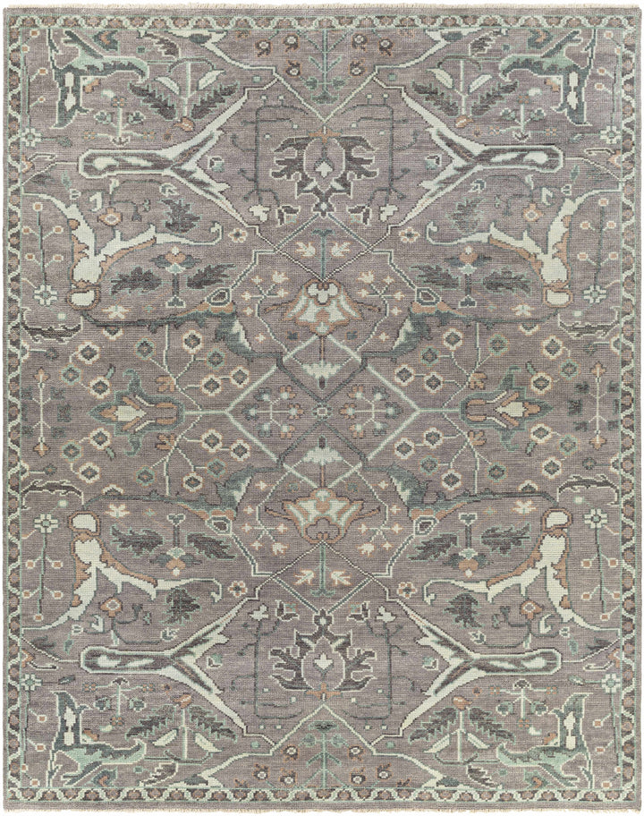 Bugasan Taupe Traditional Style Hand Knotted Wool Area Rug