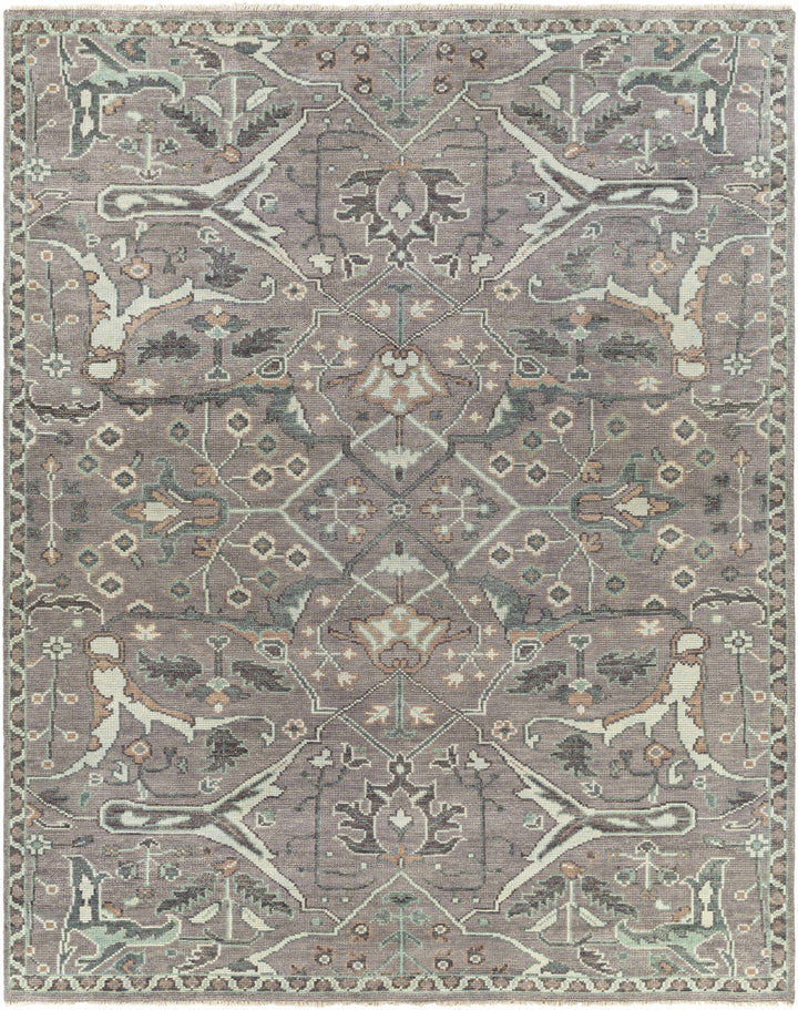 Bugasan Taupe Traditional Style Hand Knotted Wool Area Rug - The Rug Decor