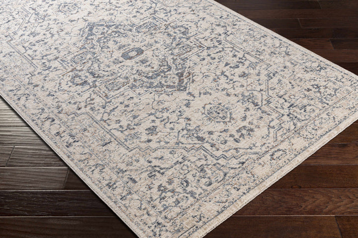Buguey Traditional Medallion Design Beige And Gray Area Rug