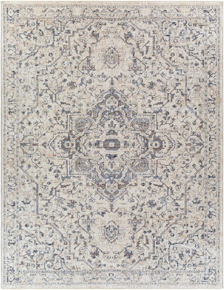Buguey Traditional Medallion Design Beige And Gray Area Rug